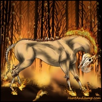 Horse Color:Palomino