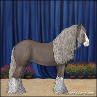 Horse Color:Silver Black Splash
