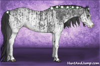 Horse Color:White Spotted Blue Roan Rabicano  and White Spotted Blue Roan Rabicano 