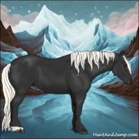 Horse Color:Liver Chestnut Mushroom 