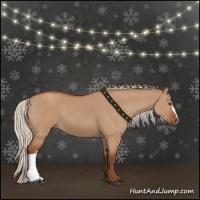 Horse Color:Silver Bay Dun 