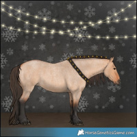 Horse Color:Bay Roan Dun 