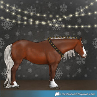 Horse Color:Silver Bay 