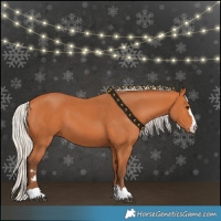 Horse Color:Silver Bay 