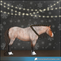 Horse Color:Bay Roan 