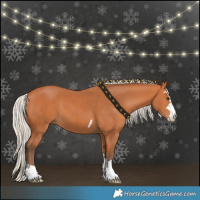 Horse Color:Silver Bay 