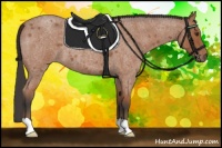 Horse Color:Bay Roan 