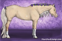 Horse Color:Silver Classic Champagne Dun Splash Frame 
