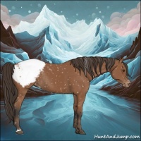 Horse Color:Bay Appaloosa Rabicano 