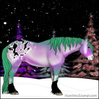 Horse Color:Watercolor Bay Onyx Appaloosa 
