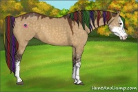 Horse Color:Painted Buckskin Dun Sabino 
