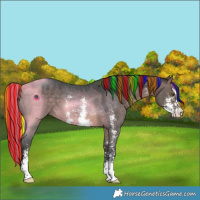 Horse Color:Painted Brown Dun Sabino 