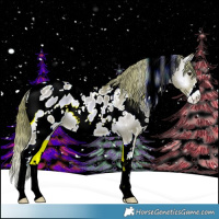 Horse Color:Watercolor White Spotted Liver Red Dun Onyx Sabino Appaloosa 