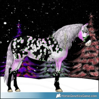 Horse Color:Watercolor White Spotted Chocolate Palomino Onyx Sabino Appaloosa 