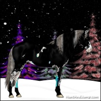 Horse Color:White Spotted Chocolate Palomino Onyx Sabino Appaloosa Rabicano