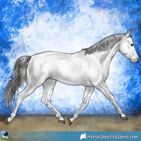 Horse Color:Liver Red Onyx Ice Sabino