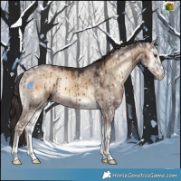 Horse Color:Liver Red Dun Ice Onyx Sabino Brindle