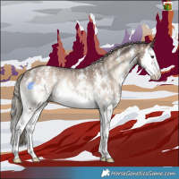 Horse Color:Liver Red Dun Onyx Mushroom Sabino Splash Rabicano Brindle