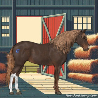 Horse Color:Liver Chestnut 