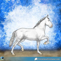 Horse Color:Liver Red Dun Onyx Mushroom Sabino Rabicano Brindle 