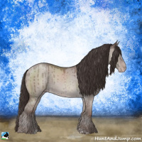 Horse Color:Classic Champagne Dun Mushroom Sabino Brindle 