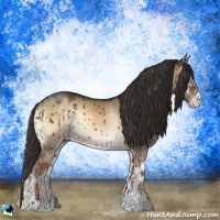 Horse Color:Liver Red Dun Onyx Sabino Rabicano Brindle 