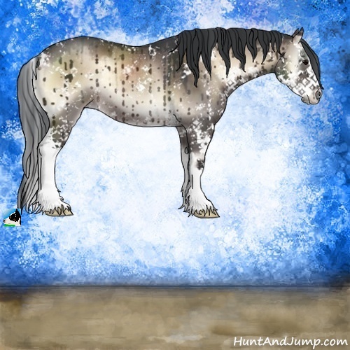 Horse Color:Brown Onyx Mushroom Sabino Splash Rabicano Brindle 