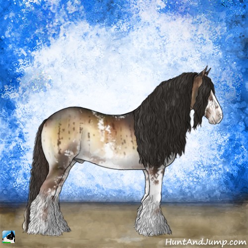 Horse Color:Liver Red Onyx Sabino 