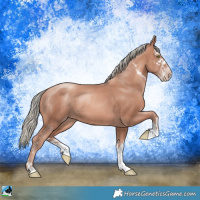 Horse Color:Gold Champagne Mushroom Sabino 