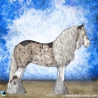 Horse Color:Liver Red Dun Mushroom Sabino Brindle 