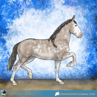 Horse Color:Liver Red Dun Mushroom Sabino Splash 