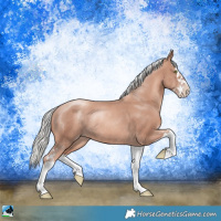 Horse Color:Gold Champagne Mushroom Sabino Splash Rabicano 
