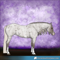 Horse Color:Silver Blue Roan Sabino 
