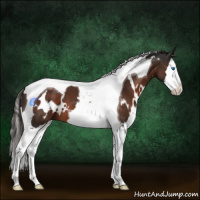 Horse Color:White Spotted Liver Chestnut Splash Tobiano 