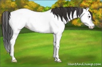 Horse Color:Bay Roan Splash Fewspot Rabicano 