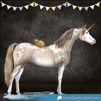 Horse Color:White Spotted Liver Red Dun Pearl Sabino Splash 