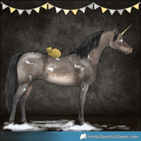 Horse Color:White Spotted Brown Ice Dun