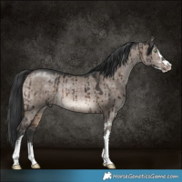 Horse Color:Brown Dun Mushroom Sabino Brindle 