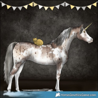 Horse Color:White Spotted Liver Red Dun Onyx Mushroom Sabino Brindle 