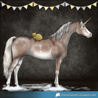 Horse Color:Liver Red Dun Mushroom Sabino