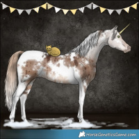 Horse Color:White Spotted Liver Red Dun Tobiano Brindle 