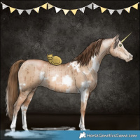 Horse Color:White Spotted Liver Red Dun Pearl Sabino Brindle 
