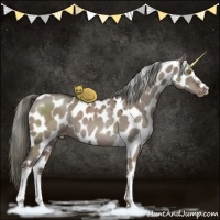 Horse Color:Liver Red Dun Mushroom Appaloosa