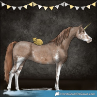 Horse Color:Liver Red Dun Ice Sabino 