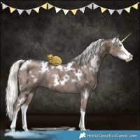 Horse Color:White Spotted Liver Red Dun Ice Mushroom Sabino Splash Brindle