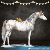 Horse Color:White Spotted Brown Pearl Dun Sabino Appaloosa Rabicano