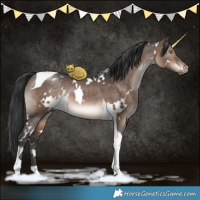 Horse Color:White Spotted Brown Dun Tobiano 