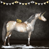 Horse Color:Gray White Spotted Brown Pearl Dun Brindle