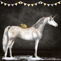 Horse Color:White Spotted Silver Brown Ice Pearl Dun Splash