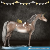 Horse Color:White Spotted Silver Brown Dun